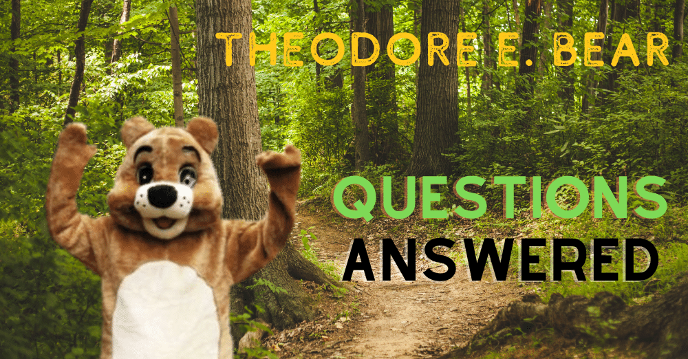 Theodore E. Bear's Frequently Asked Questions