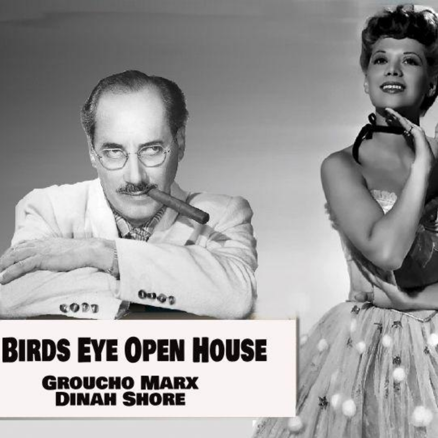 The Birds Eye Open House