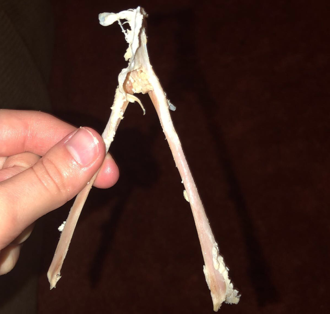 The History of the Wishbone Superstition