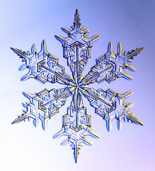 Snow Flake