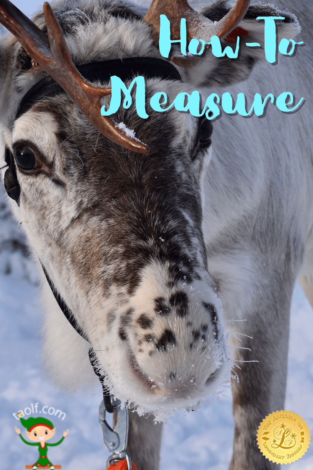 How to Measure Your Reindeer