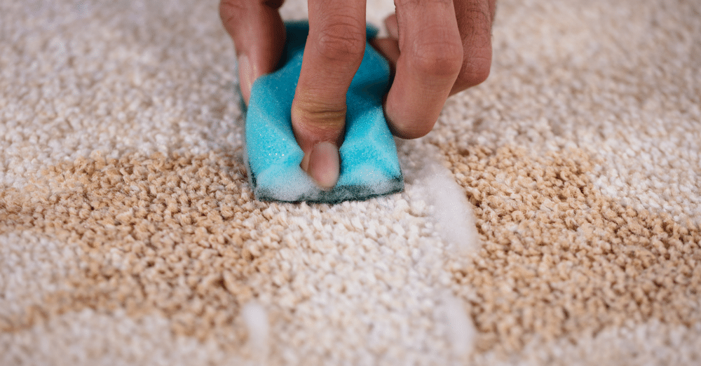 How to Remove Cocoa Stains from Carpet