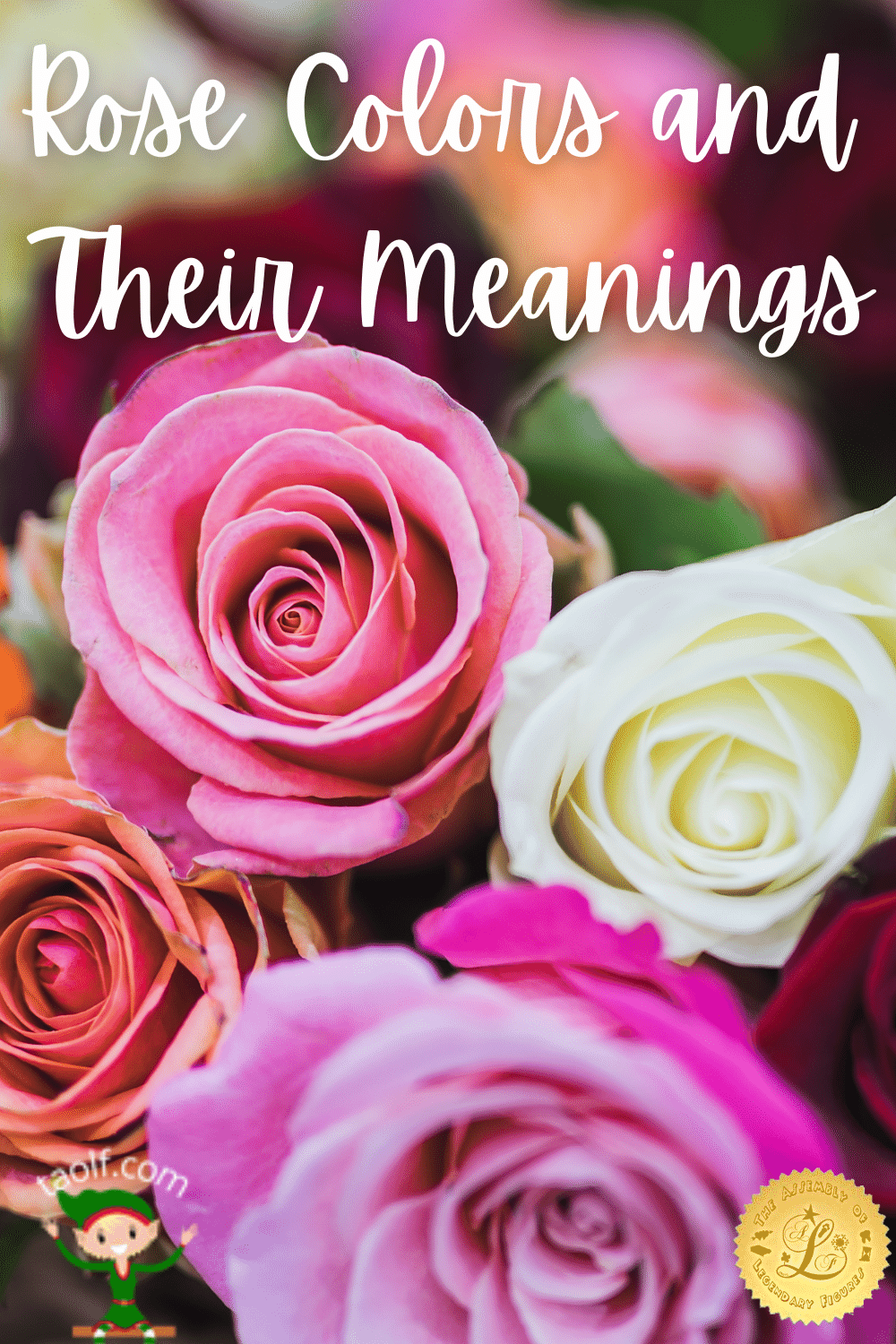 Rose Colors and Their Meanings