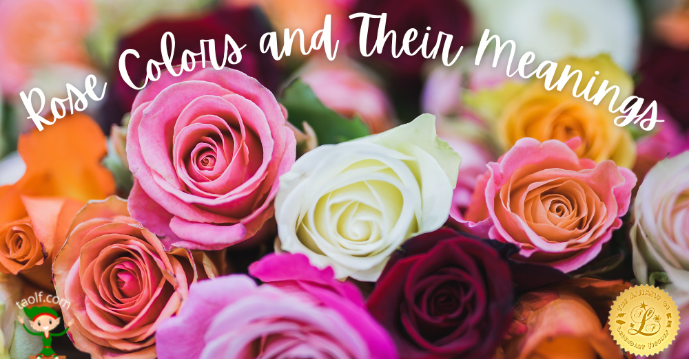 Rose Colors and Their Meanings