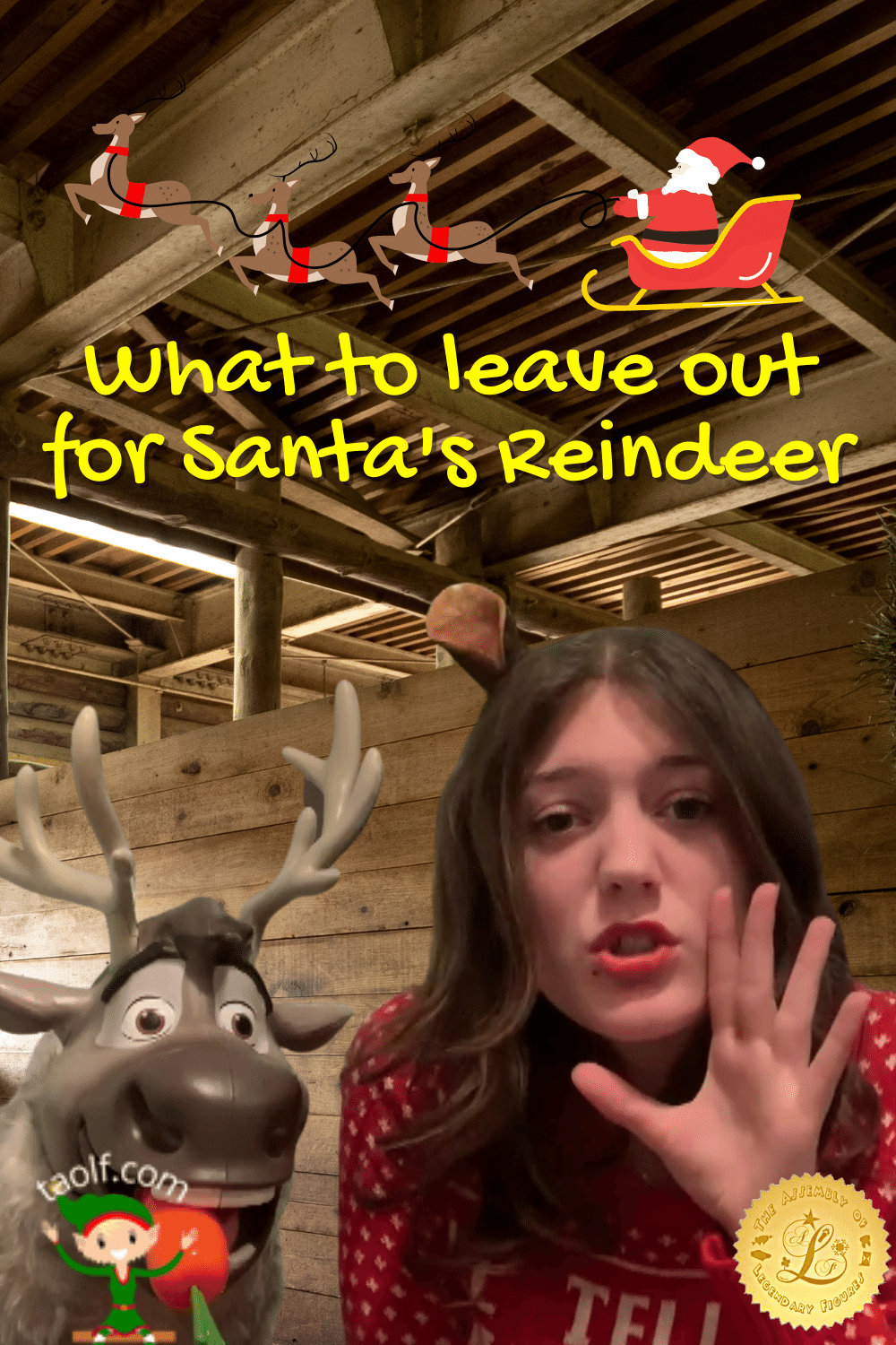 What to Leave Out for Santa's Reindeer