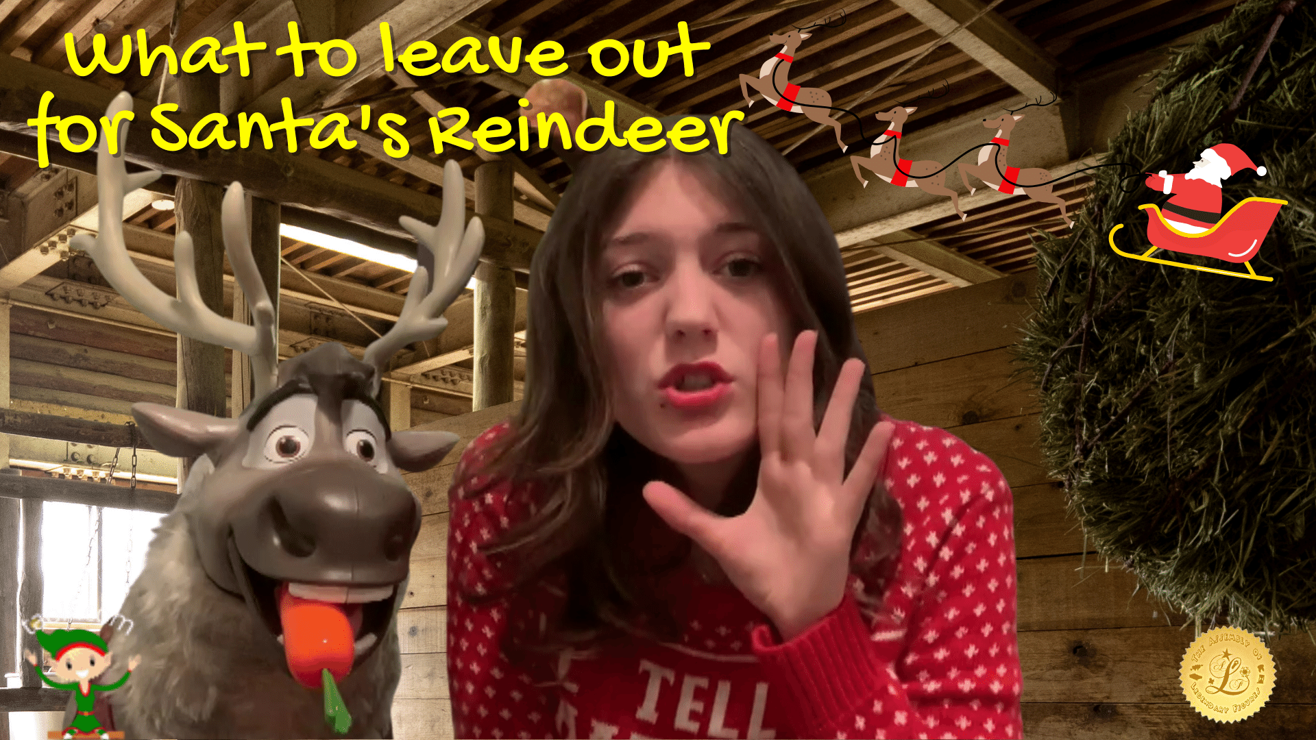What to Leave Out for Santa's Reindeer