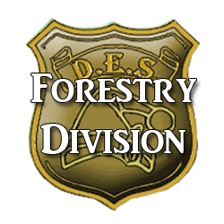 Division of Forestry