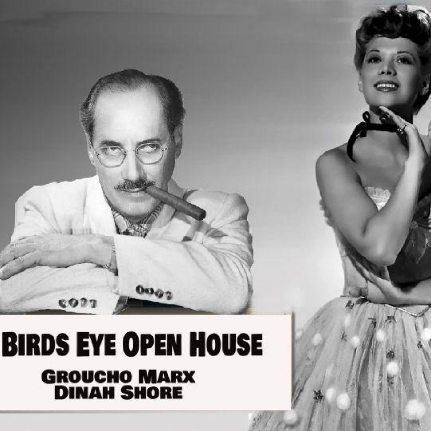 Birdseye Open House