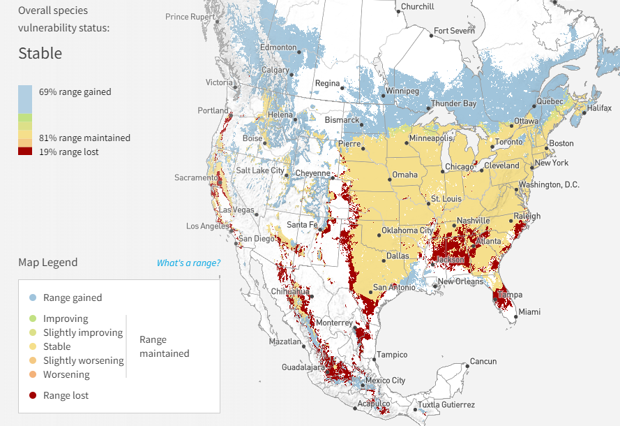 How Climate Change Will Reshape the Range of the Wild Turkey